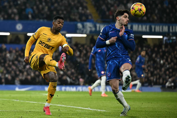 育项目的影 育项目的影